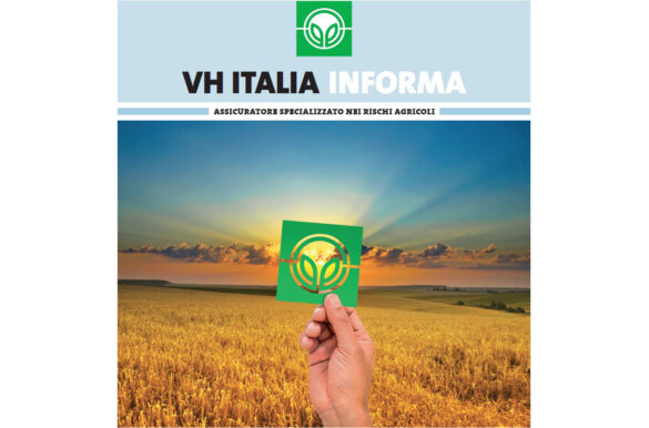 VH ITALIA Informa 2023