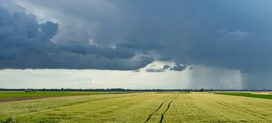 assicurazione agricola